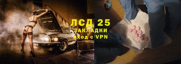 прущие грибы Алексеевка
