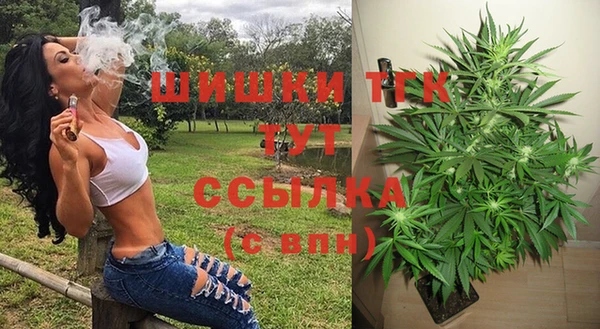 соль ск Алексин