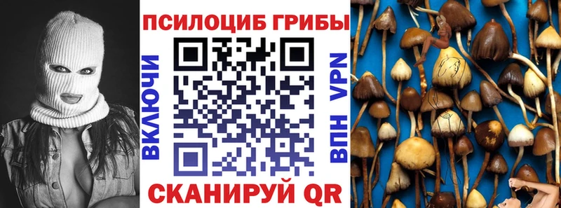 наркошоп  Петрозаводск  Галлюциногенные грибы Psilocybe 