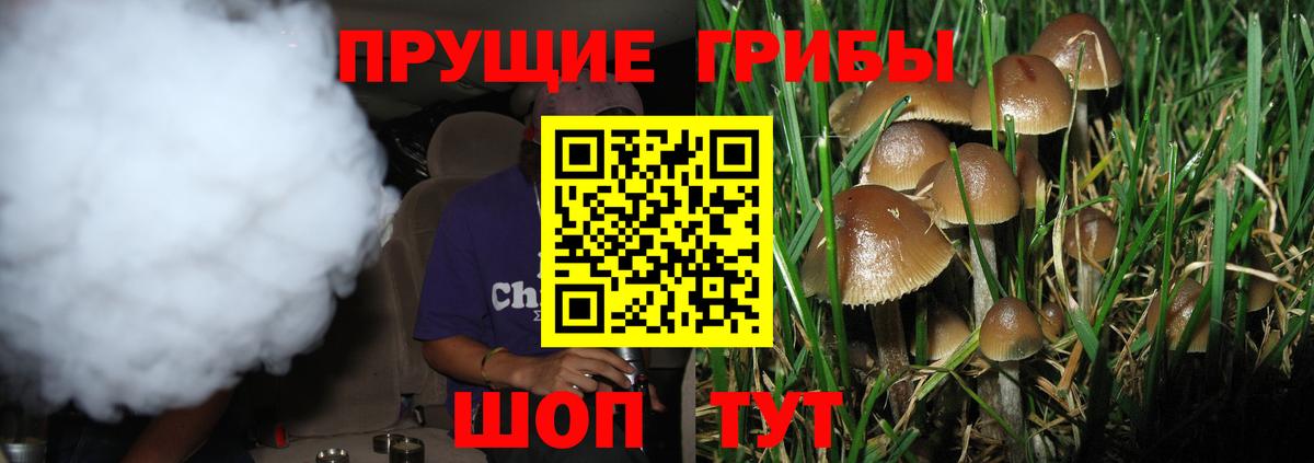 Петрозаводск  Псилоцибиновые грибы MAGIC MUSHROOMS  Вход с VPN 